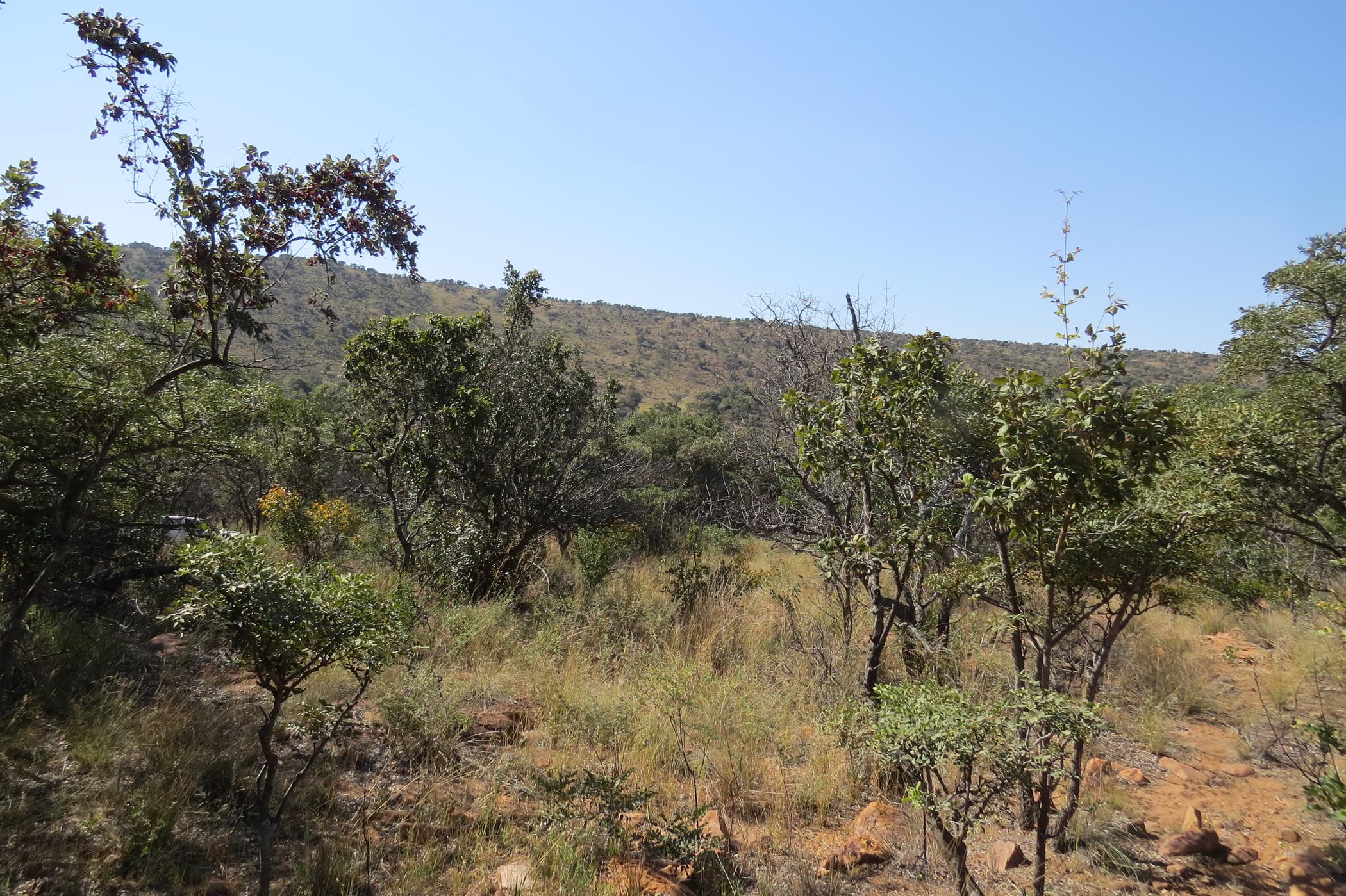 Vacant land for sale in Modimolle Rural - 1MM1490822