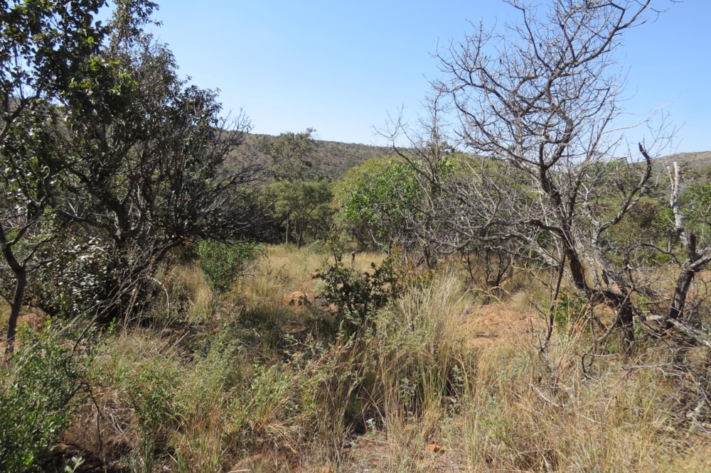 Vacant land for sale in Modimolle Rural - 1MM1490822