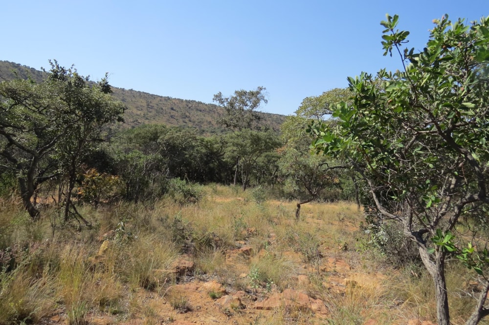 Vacant land for sale in Modimolle Rural - 1MM1490822