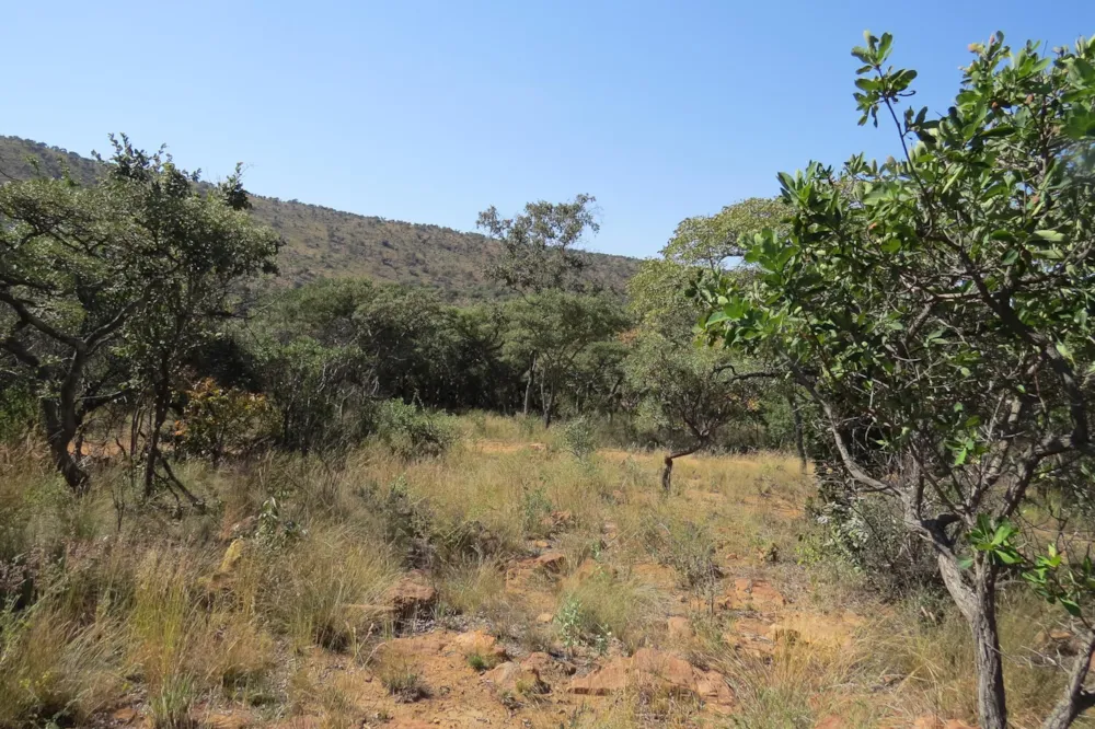 Vacant land for sale in Modimolle Rural - 1MM1490822 Vacant land for sale in Modimolle Rural - 1MM1490822