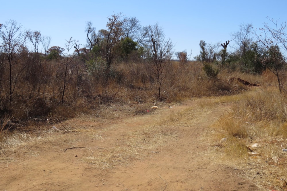 Vacant land for sale in Modimolle (Nylstroom) - 1MM1493332 Vacant land for sale in Modimolle (Nylstroom) - 1MM1493332