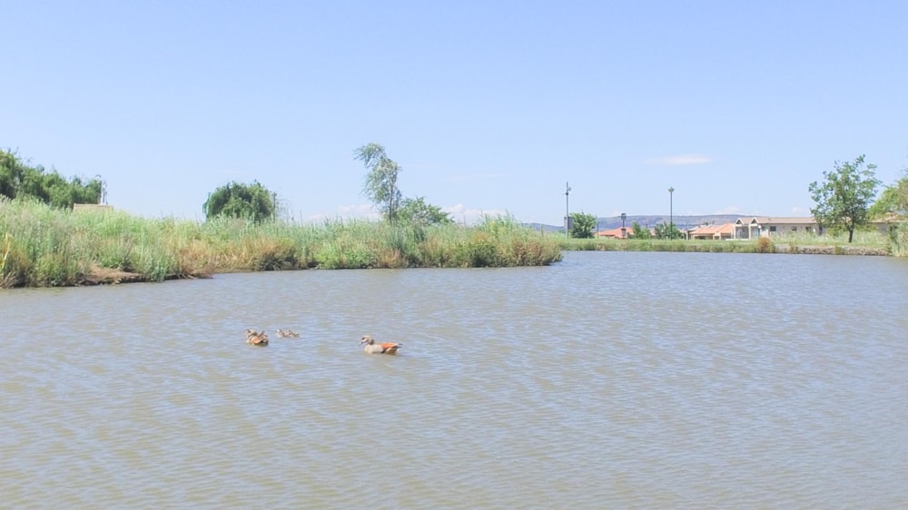 Vacant land for sale in Aspen Lakes - 1GV1493440