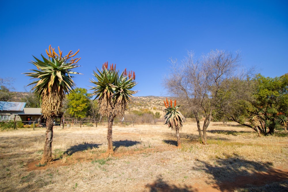 Mixed use farm for sale in Skeerpoort - 1HR1494653 Mixed use farm for sale in Skeerpoort - 1HR1494653