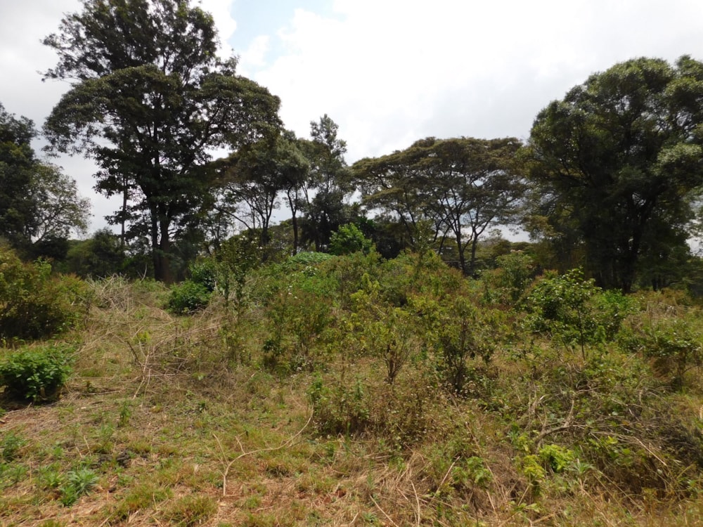 Vacant land for sale in Karen, Kenya - 3KE1595233