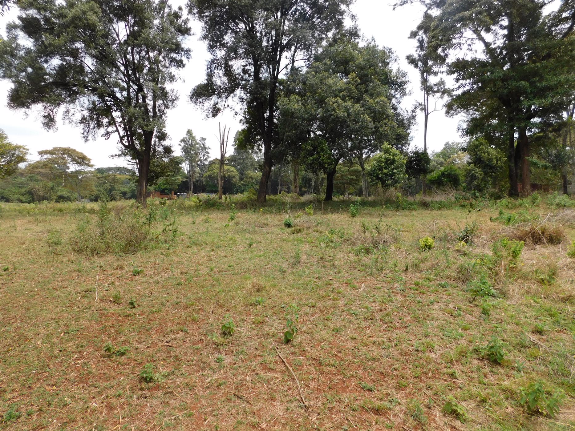Vacant land for sale in Karen, Kenya - 3KE1595233