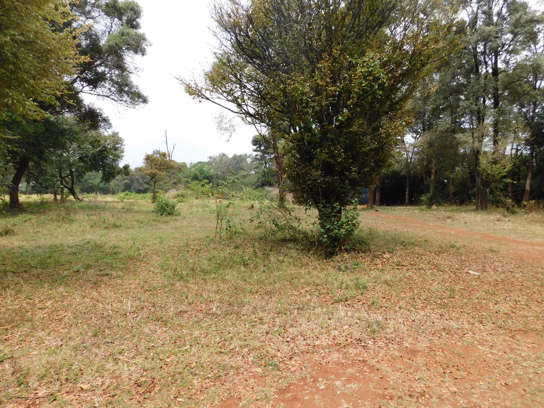 Vacant land for sale in Karen, Kenya - 3KE1595233