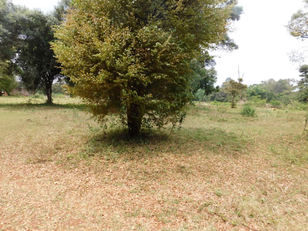 Vacant land for sale in Karen, Kenya - 3KE1595233