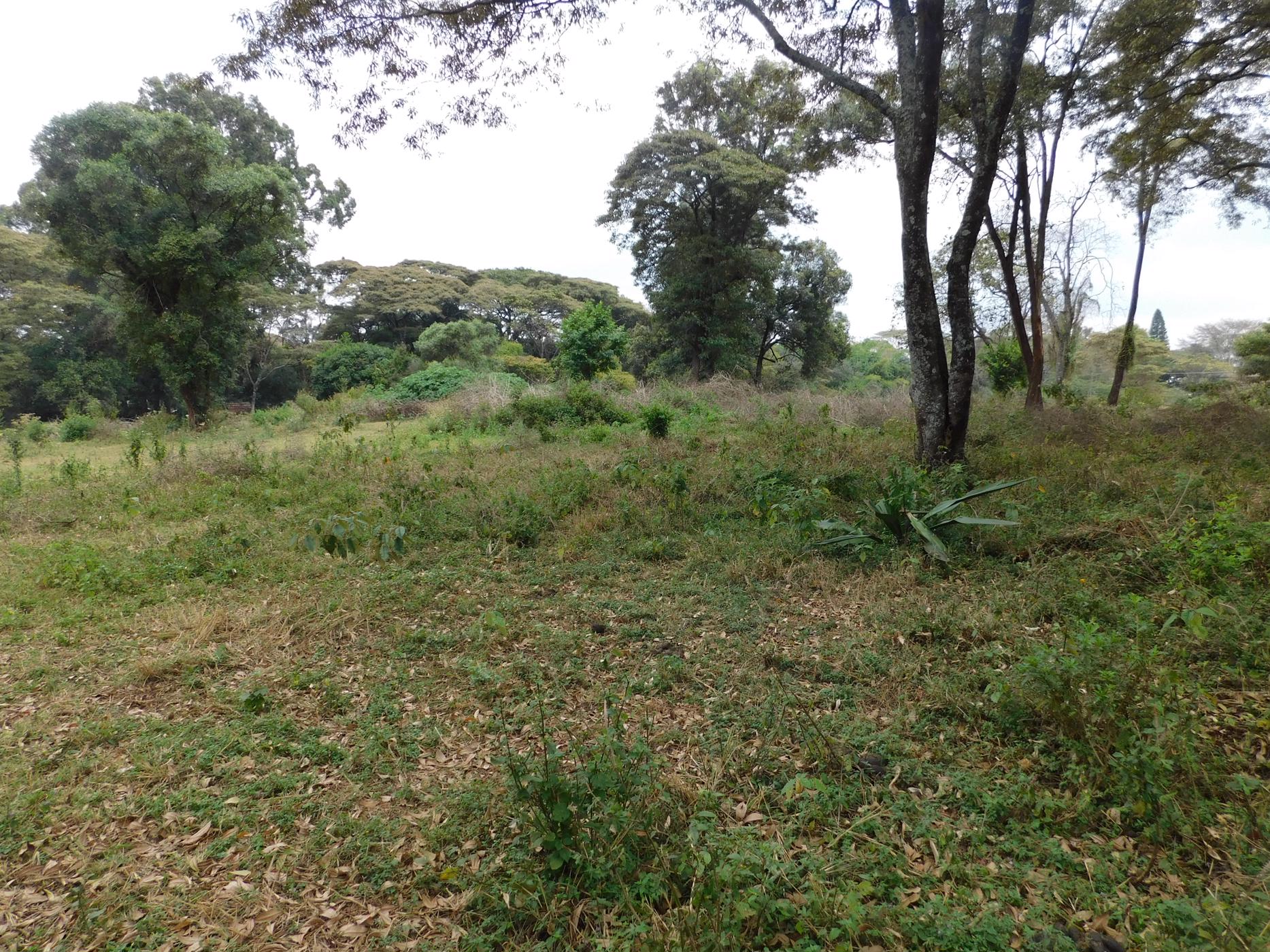 Vacant land for sale in Karen, Kenya - 3KE1595233