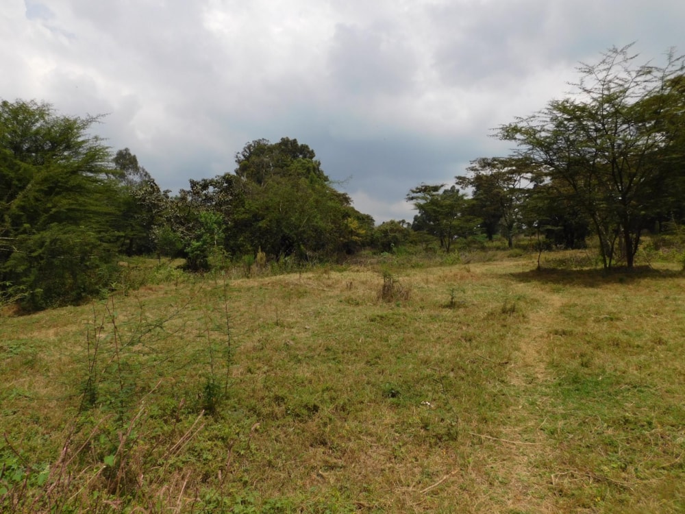 Vacant land for sale in Karen, Kenya - 3KE1595233