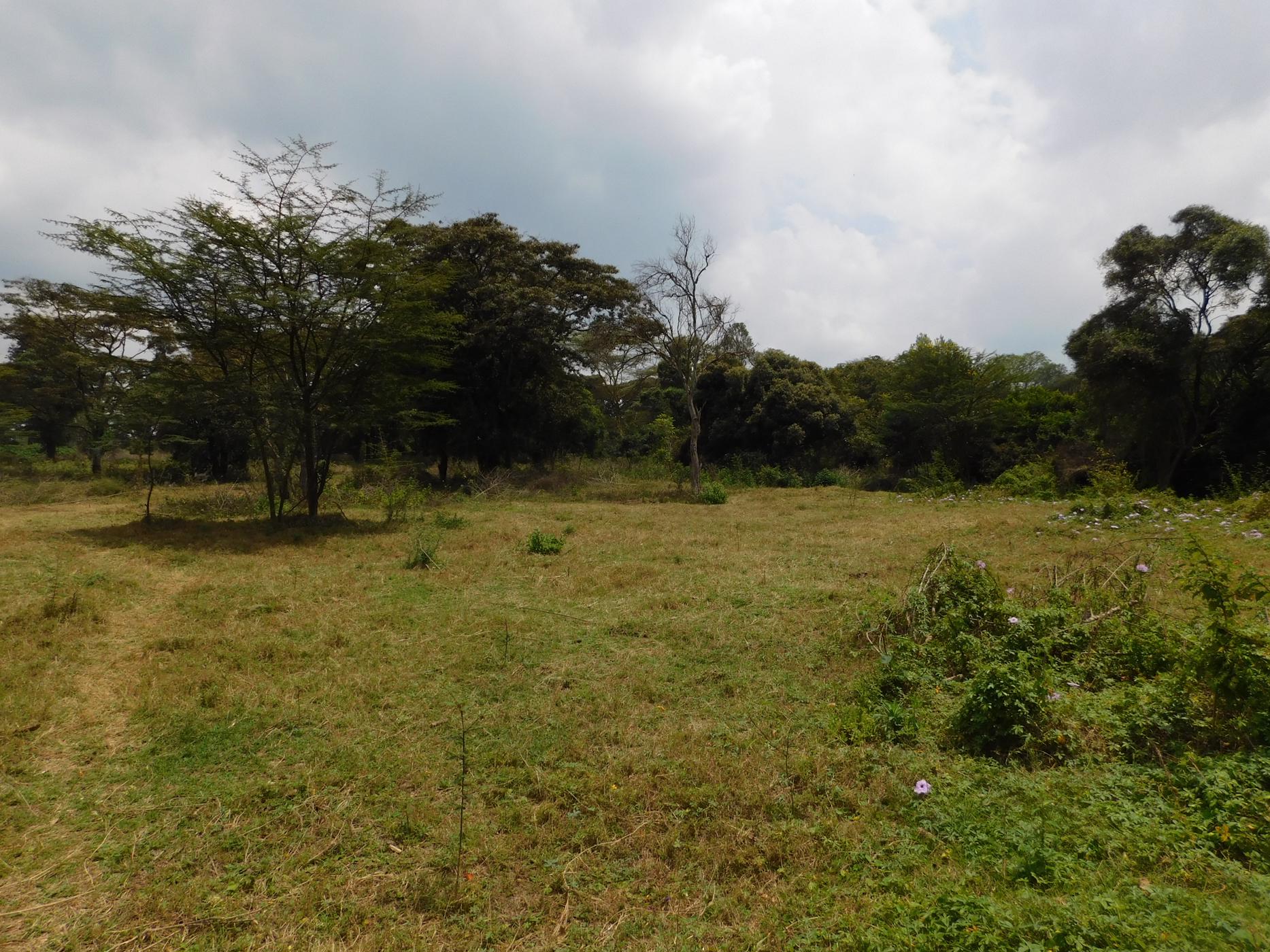 Vacant land for sale in Karen, Kenya - 3KE1595233