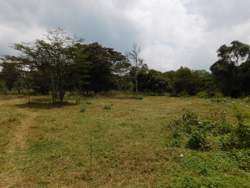 Vacant land for sale in Karen, Kenya - 3KE1595233 Vacant land for sale in Karen, Kenya - 3KE1595233