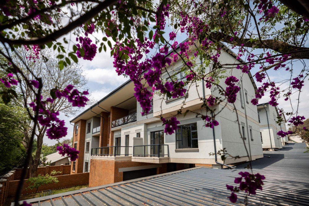 Apartment to rent in Nieuw Muckleneuk - PTL1720824 Apartment to rent in Nieuw Muckleneuk - PTL1720824