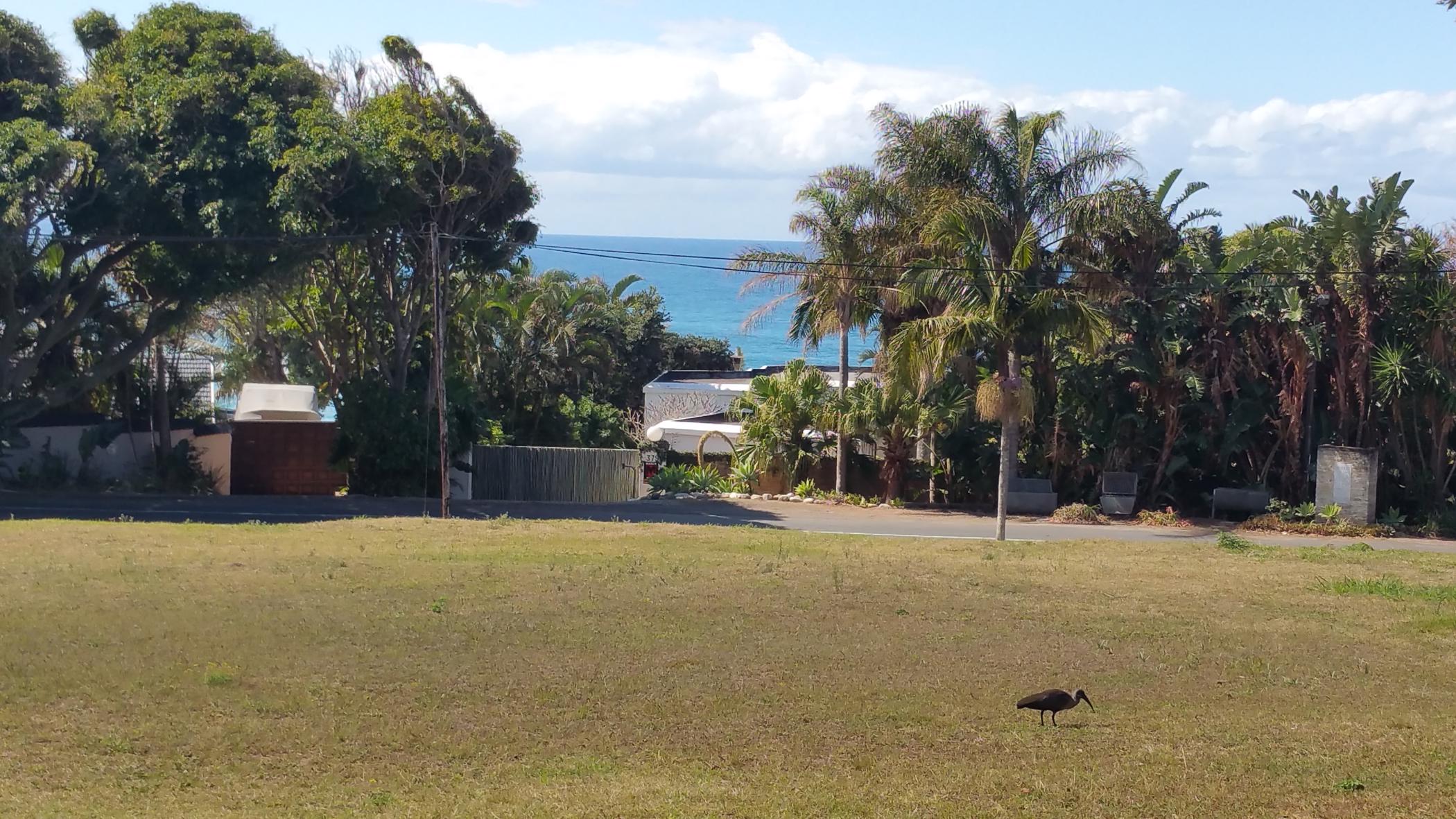 Vacant land for sale in Southbroom - 1PD1498166