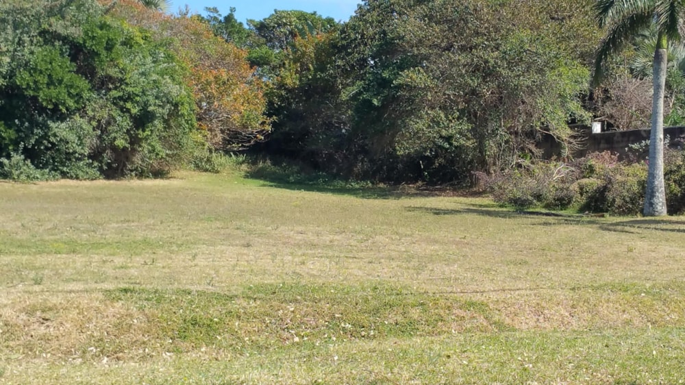Vacant land for sale in Southbroom - 1PD1498166
