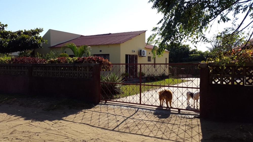 House for sale in Bilene, Mozambique - 3MQ1499831