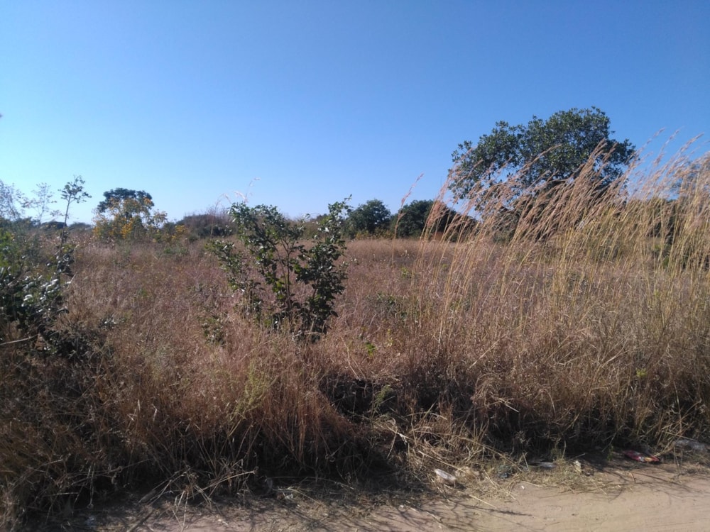 Farm vacant land for sale in Choma, Zambia - 3ZA1584622 Farm vacant land for sale in Choma, Zambia - 3ZA1584622