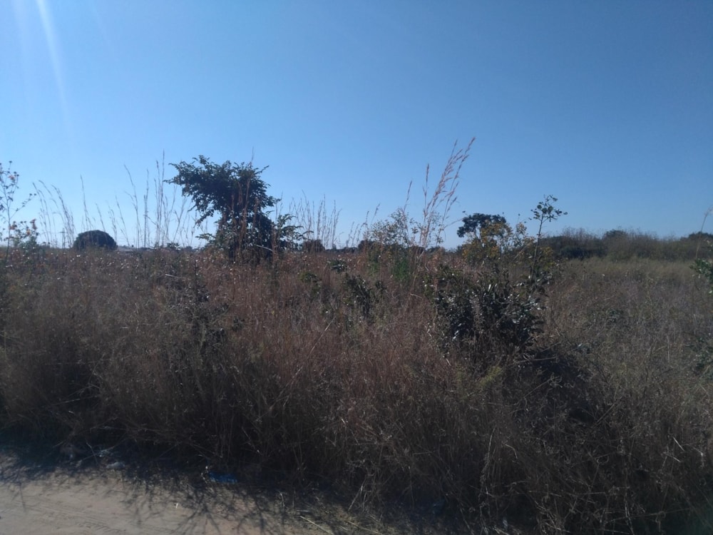 Farm vacant land for sale in Choma, Zambia - 3ZA1584622 Farm vacant land for sale in Choma, Zambia - 3ZA1584622