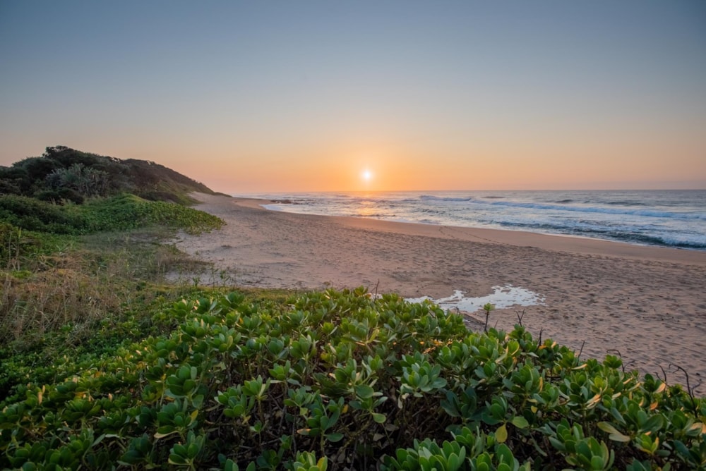 Residential vacant land for sale in Seaton Estate - 1BD1500695 Residential vacant land for sale in Seaton Estate - 1BD1500695