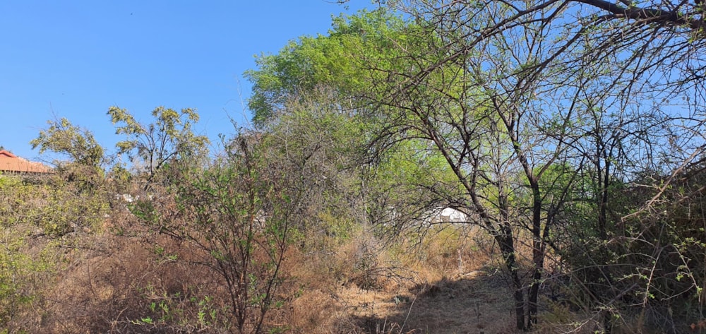 Vacant land for sale in Kosmos Ridge - 1HR1611846 Vacant land for sale in Kosmos Ridge - 1HR1611846