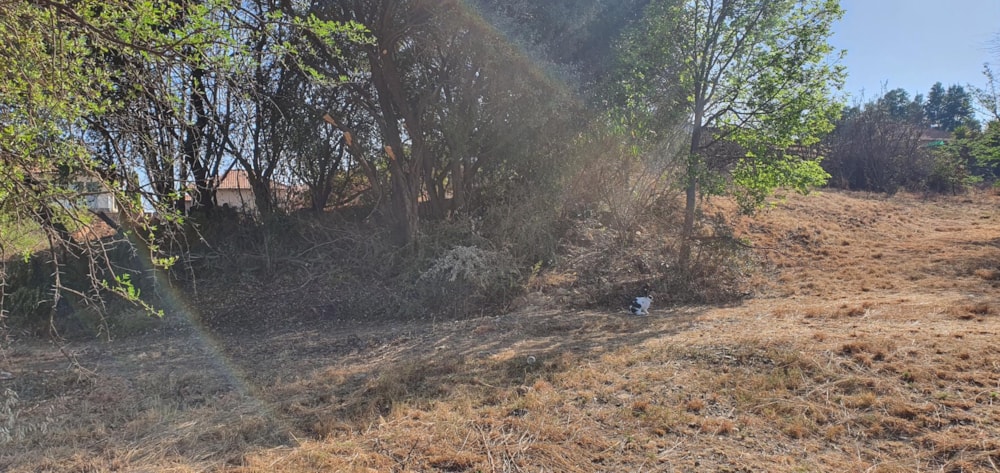 Vacant land for sale in Kosmos Ridge - 1HR1611846 Vacant land for sale in Kosmos Ridge - 1HR1611846