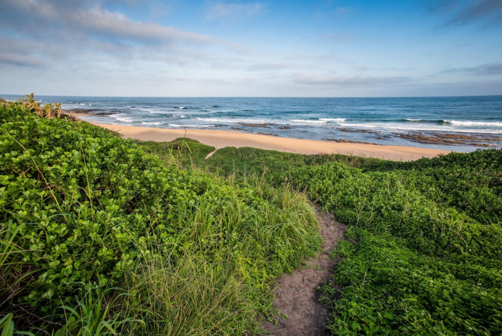 Residential vacant land for sale in Seaton Estate - 1BD1569748