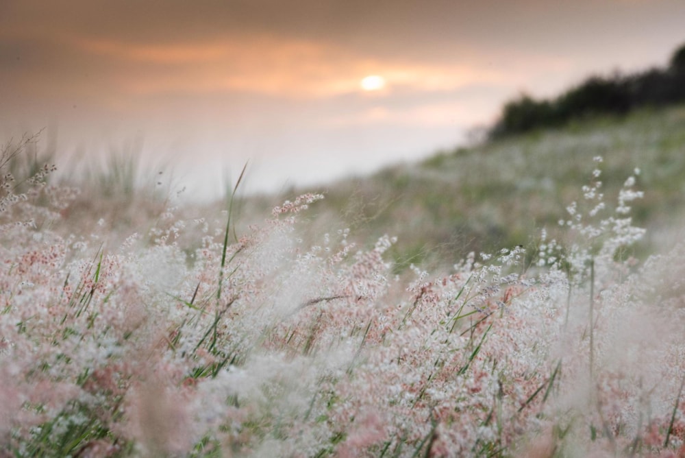 Residential vacant land for sale in Seaton Estate - 1BD1569748