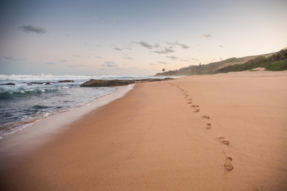 Residential vacant land for sale in Seaton Estate - 1BD1501147 Residential vacant land for sale in Seaton Estate - 1BD1501147