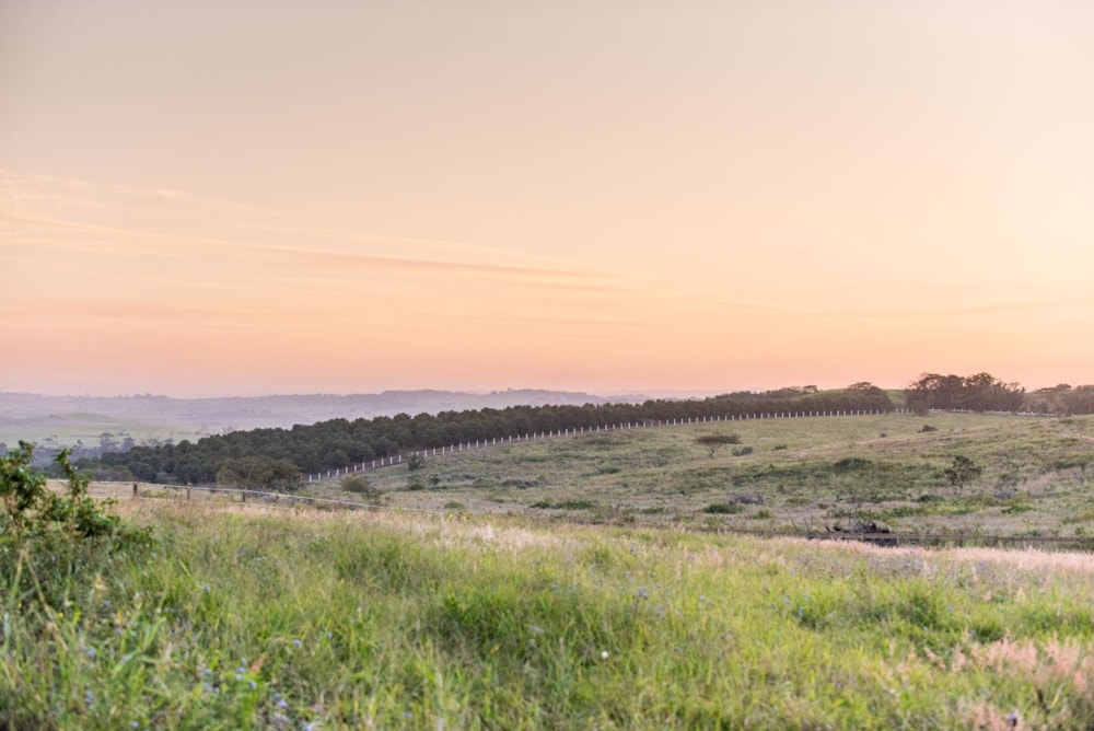 Residential vacant land for sale in Seaton Estate - 1BD1501152 Residential vacant land for sale in Seaton Estate - 1BD1501152