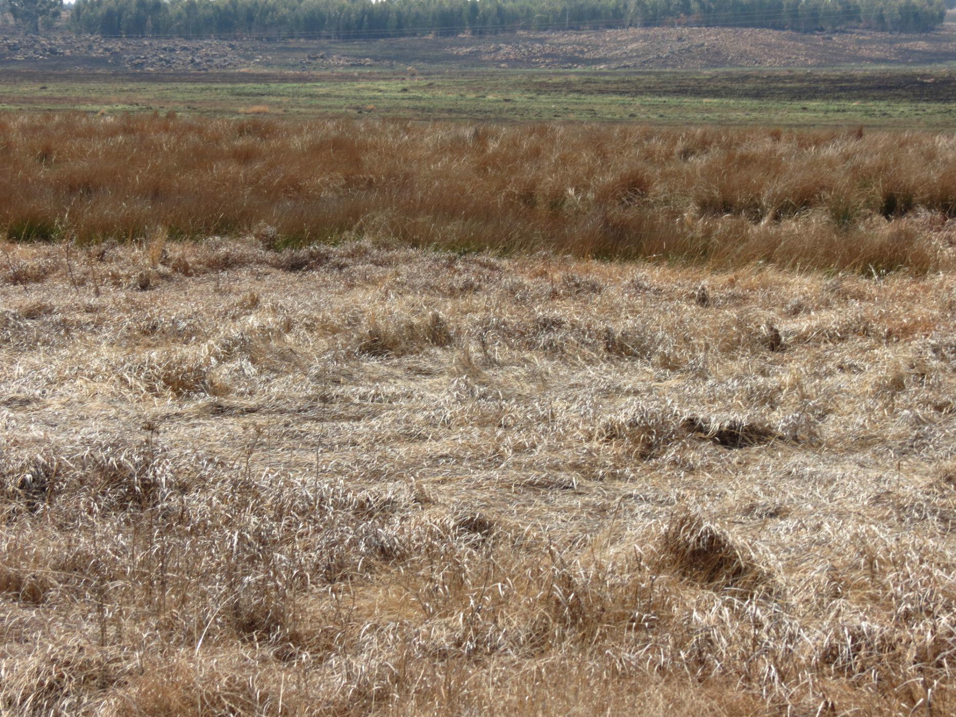 Vacant land for sale in Belfast - 1DS1501323