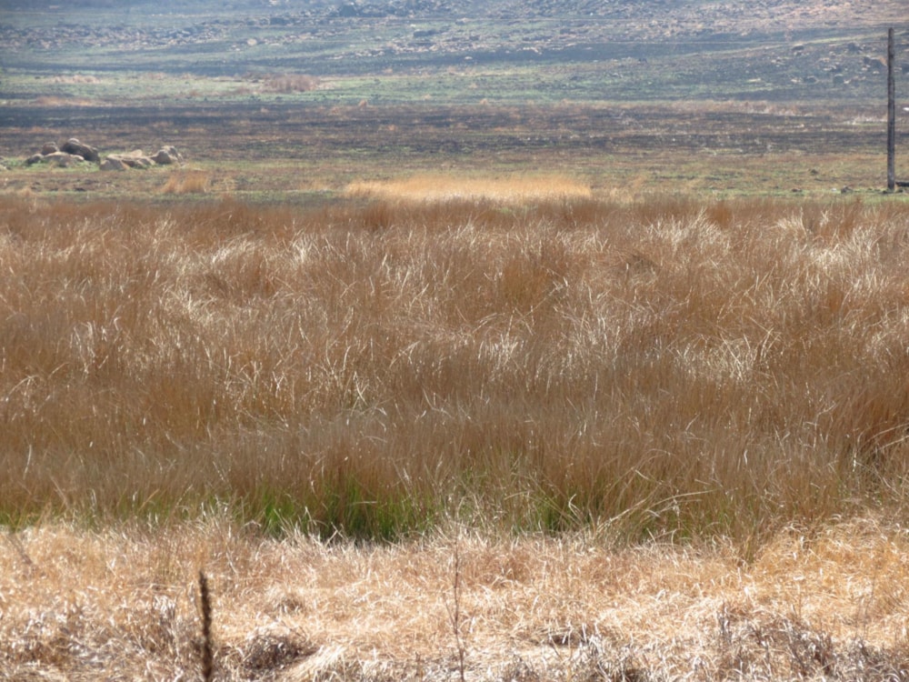 Vacant land for sale in Belfast - 1DS1501323