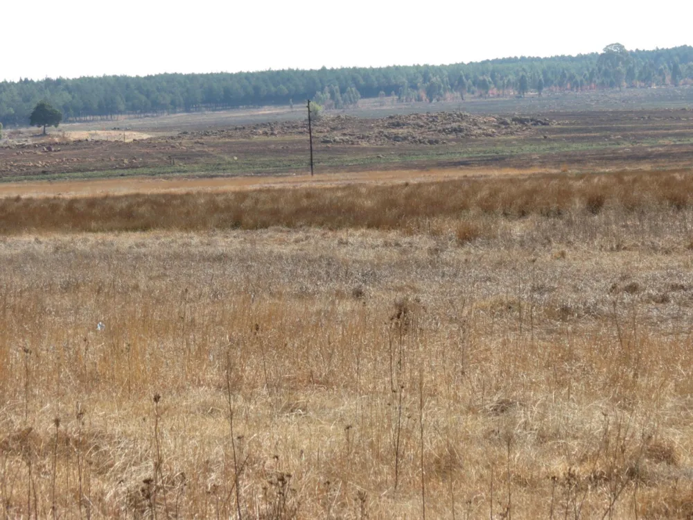 Vacant land for sale in Belfast - 1DS1501323