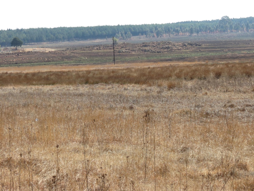 Vacant land for sale in Belfast - 1DS1501323