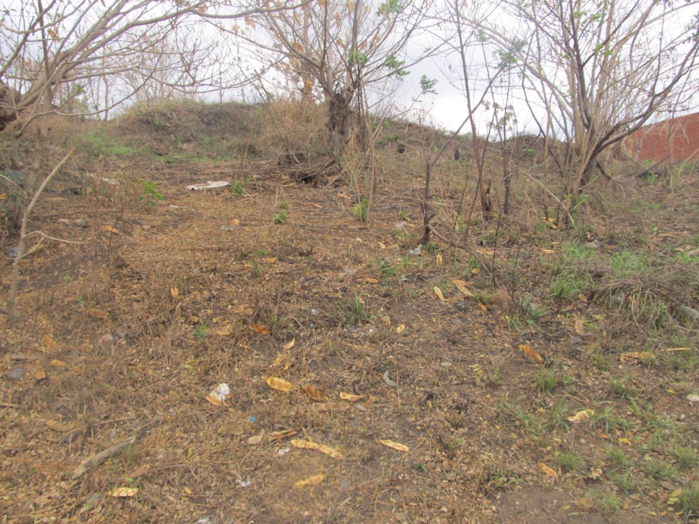 Vacant land for sale in Clare Hills - 1WS1502143