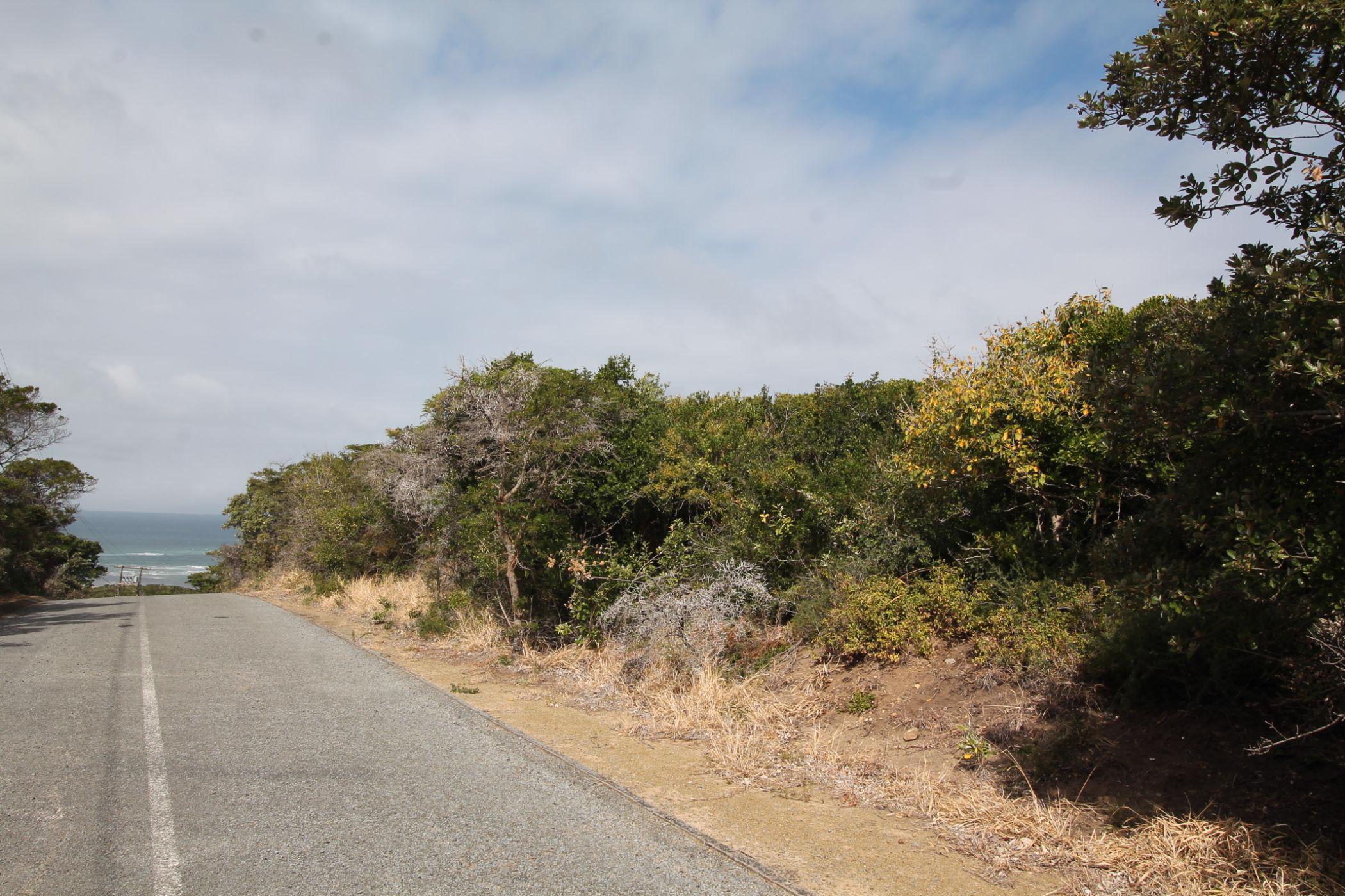 Residential vacant land for sale in Begha - 1PF1505717