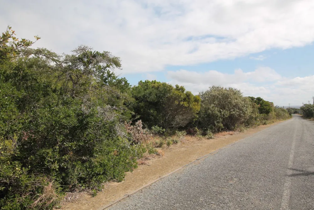 Residential vacant land for sale in Begha - 1PF1505717