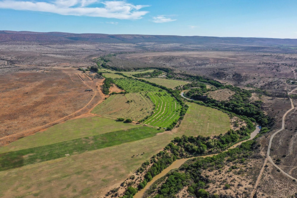 Livestock farm for sale in Grahamstown (Makhanda) - 1GC1746875