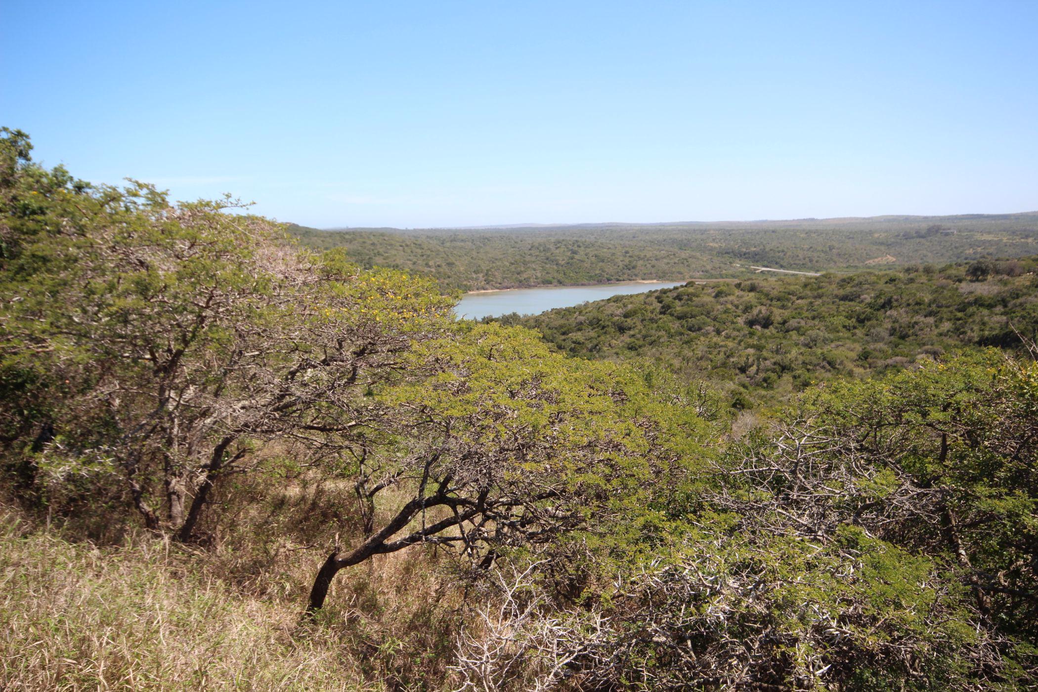 Residential vacant land for sale in Begha - 1PF1505043