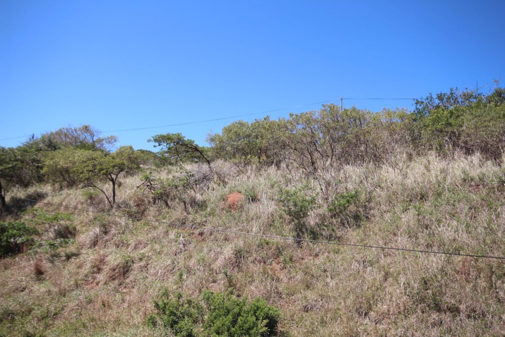 Residential vacant land for sale in Begha - 1PF1505043 Residential vacant land for sale in Begha - 1PF1505043