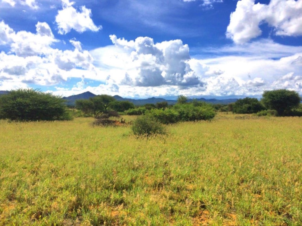 Residential vacant land for sale in Windhoek, Namibia - 3NM1505170 Residential vacant land for sale in Windhoek, Namibia - 3NM1505170