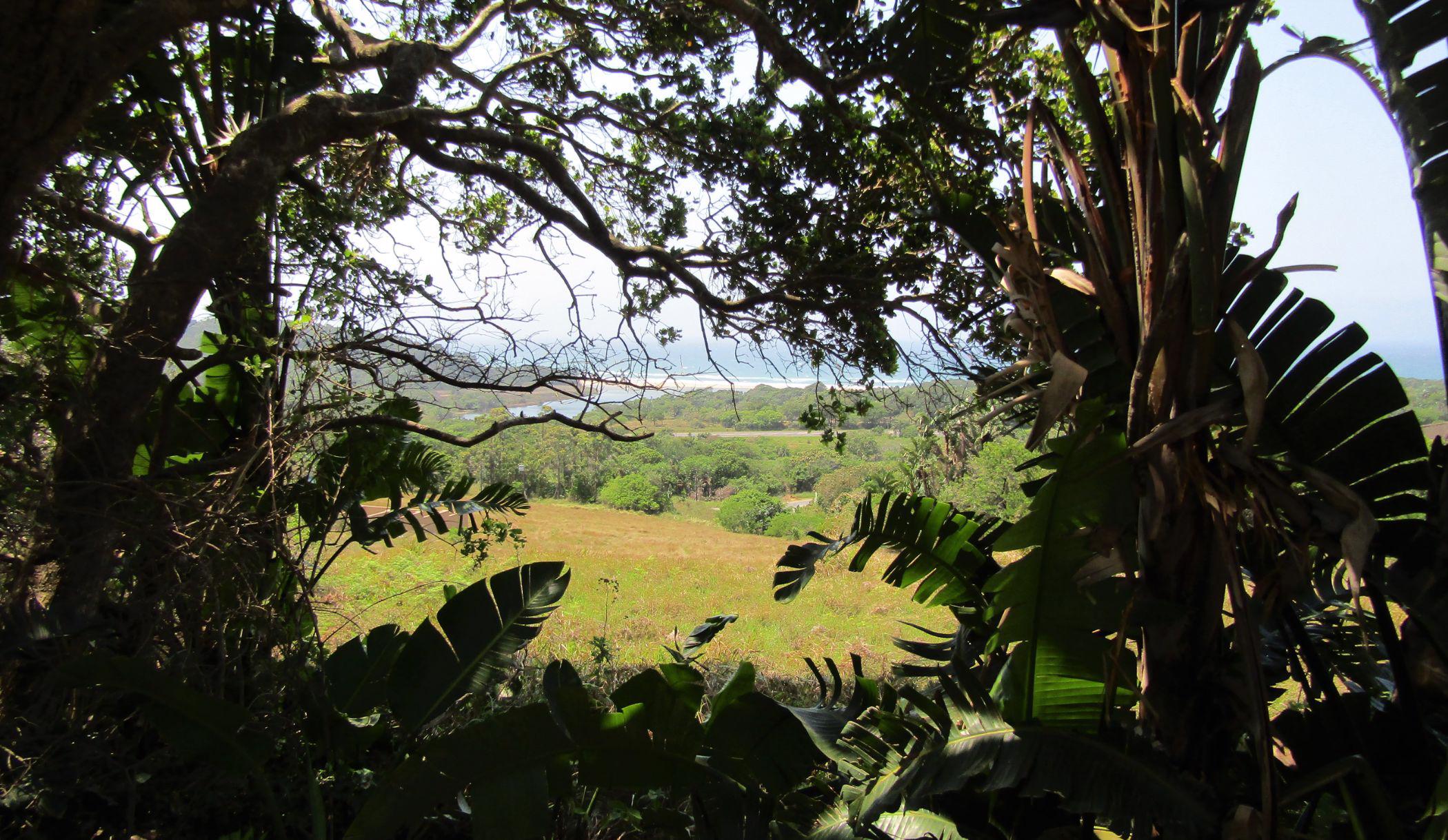 Residential vacant land for sale in Palm Beach - 1PD1505230