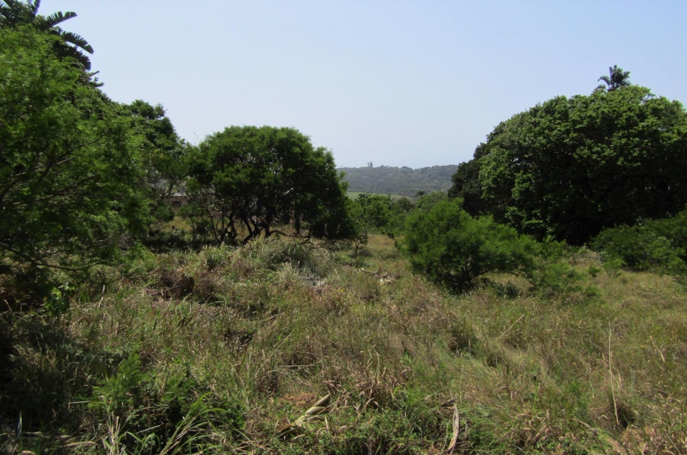 Residential vacant land for sale in Palm Beach - 1PD1505230 Residential vacant land for sale in Palm Beach - 1PD1505230