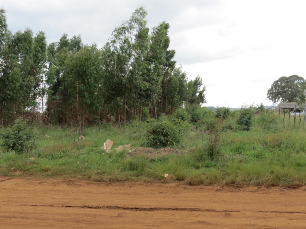 Vacant land for sale in Belfast - 1DS1492865 Vacant land for sale in Belfast - 1DS1492865