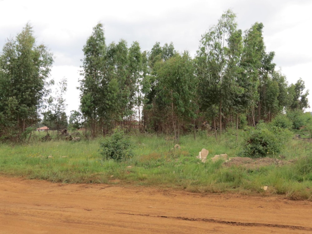 Vacant land for sale in Belfast - 1DS1492865 Vacant land for sale in Belfast - 1DS1492865