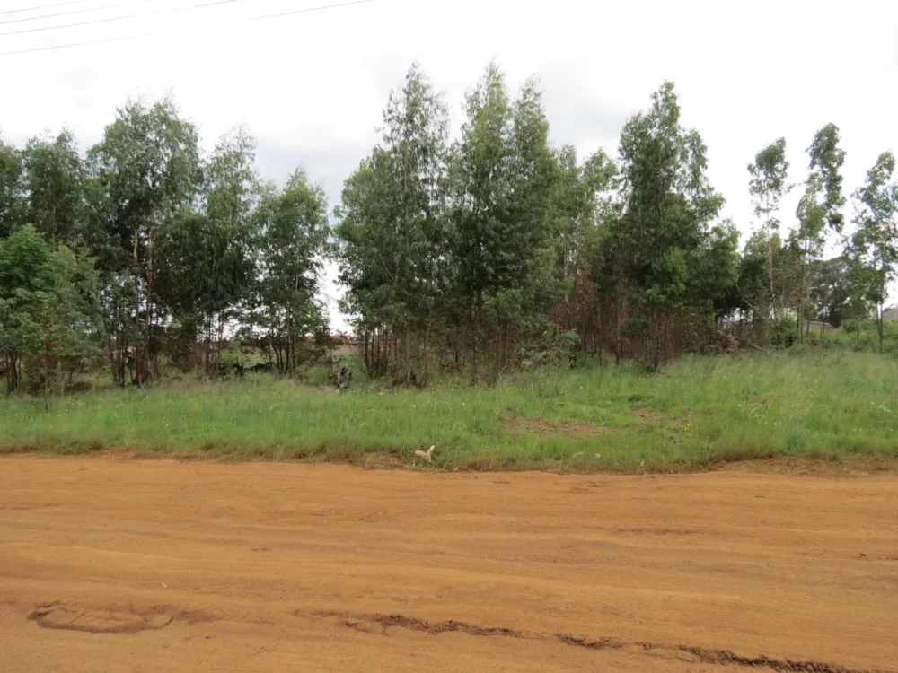 Vacant land for sale in Belfast - 1DS1492865