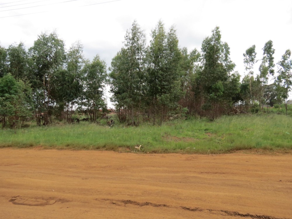 Vacant land for sale in Belfast - 1DS1492865 Vacant land for sale in Belfast - 1DS1492865