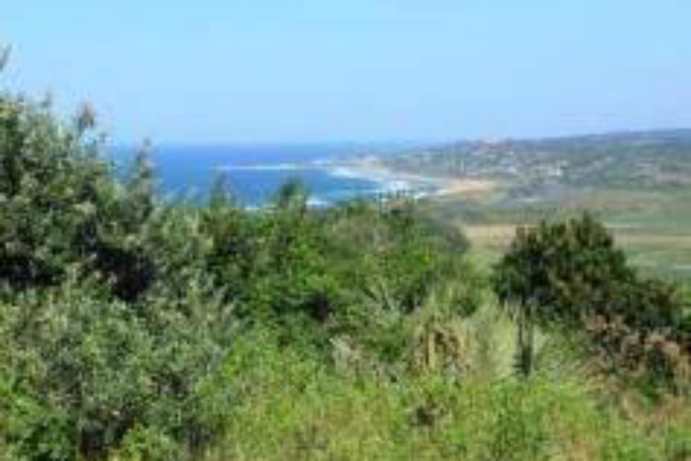 Vacant land for sale in Hibberdene - 1PX1507375