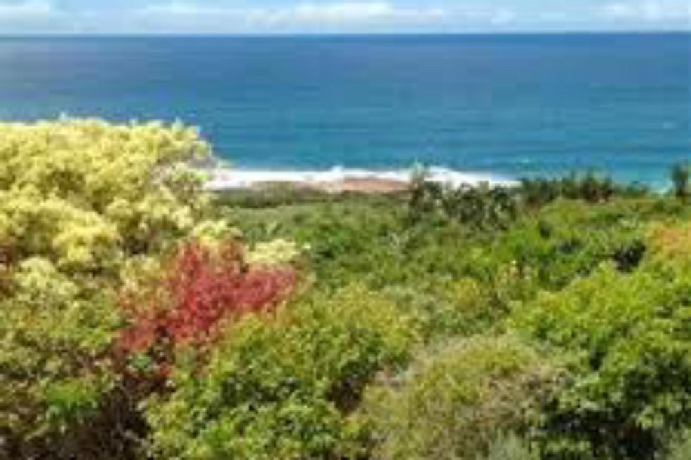 Vacant land for sale in Hibberdene - 1PX1507375