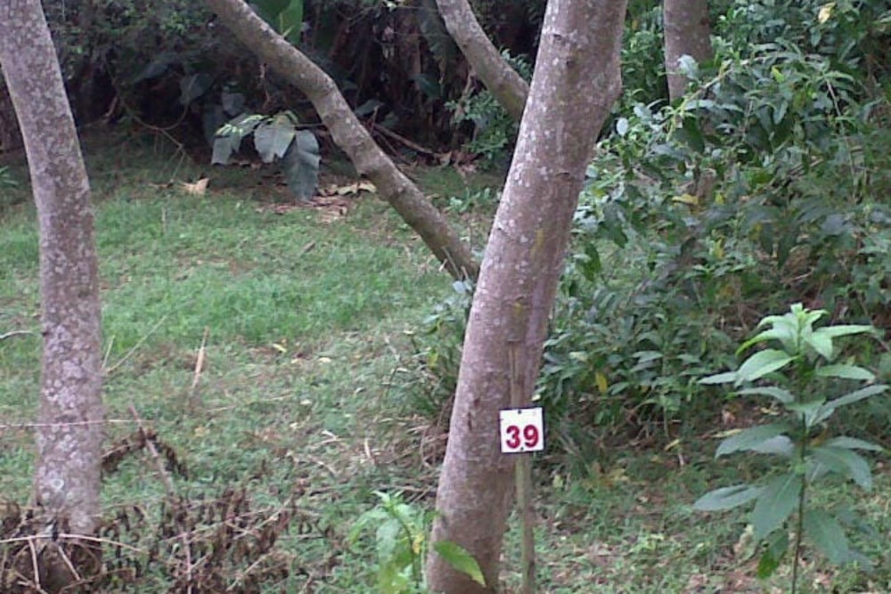 Vacant land for sale in Hibberdene - 1PX1507375