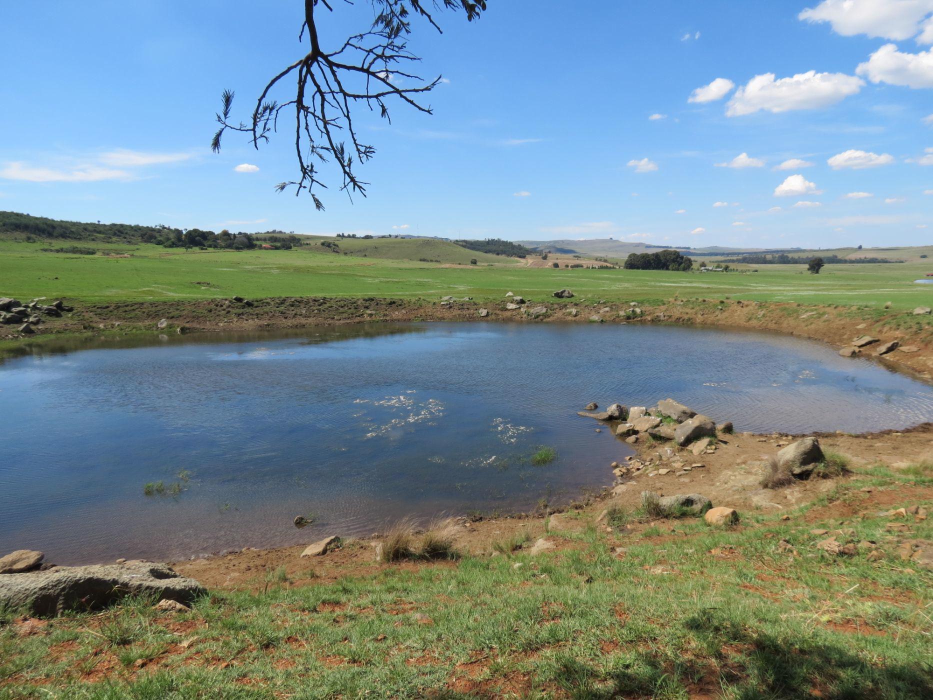 Mixed use farm for sale in Machadodorp Rural - 1DS1510252