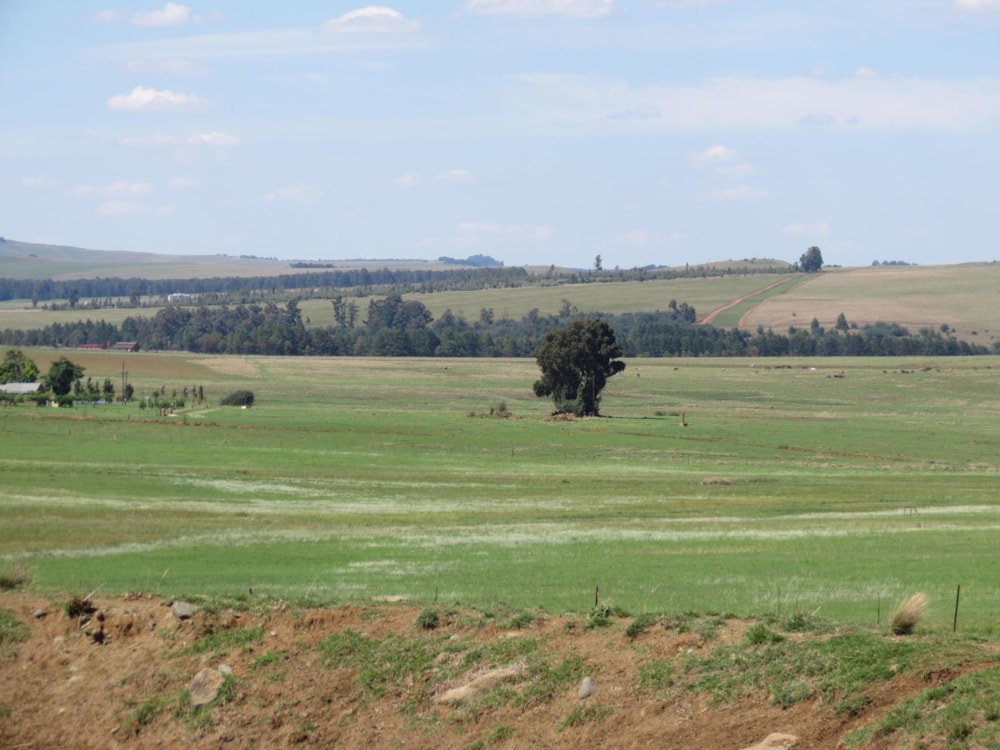 Mixed use farm for sale in Machadodorp Rural - 1DS1510252